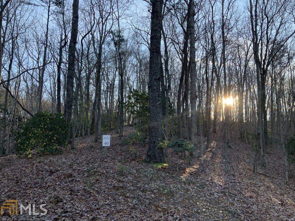 0 High Meadows, Unit LOT 40 Morganton, GA 30560 - Photo 1 of 1 Gallery Image 1