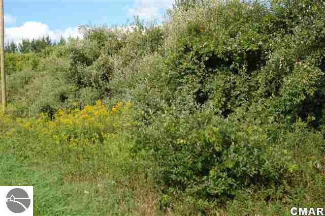 0 East Pakes Road Crystal, MI 48818 - Photo 2 of 3 1764441-1.JPG