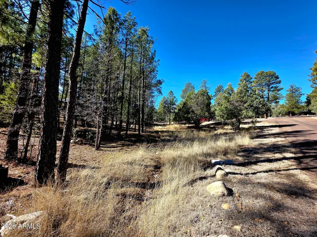 a view of a yard with street