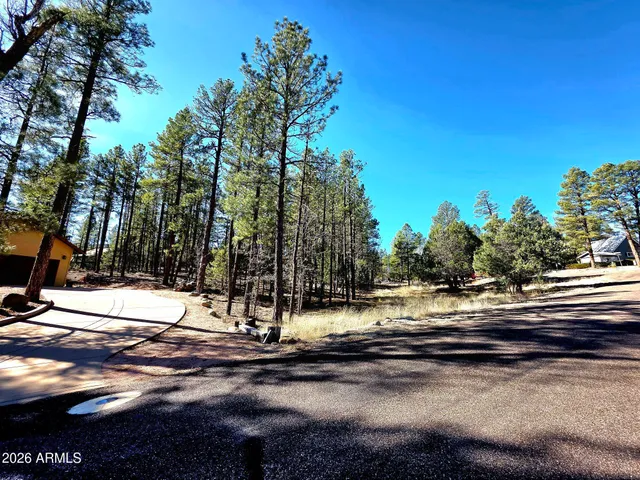 a view of outdoor space