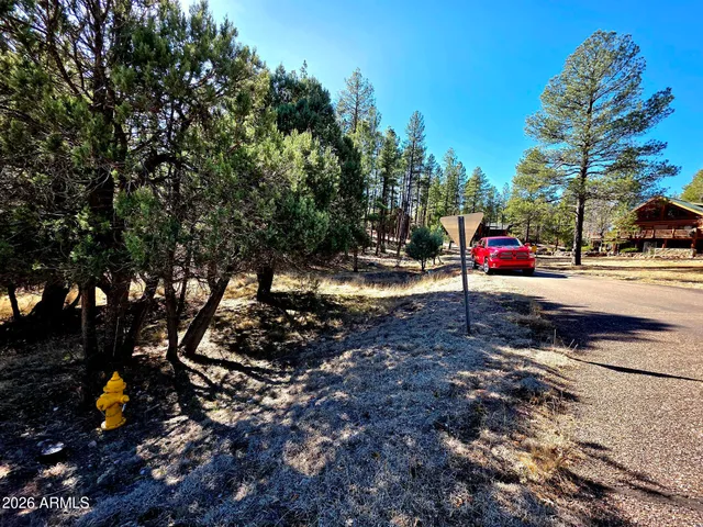 a view of a park with trees