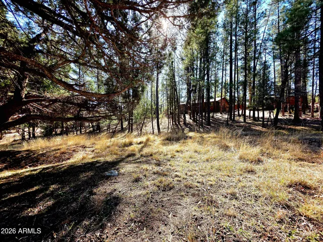 a view of a road with a yard