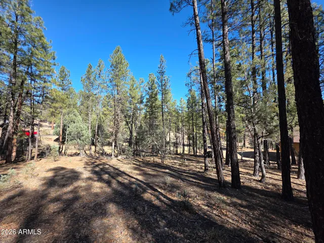 a view of a yard with plants and trees