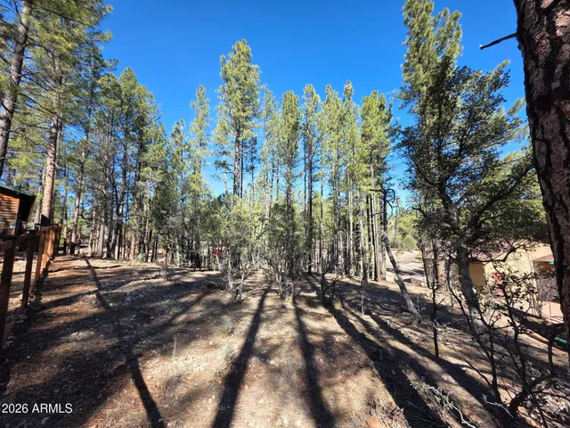 a view of a yard with large trees