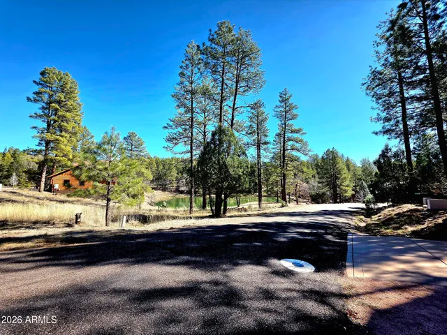 a view of a road with a yard