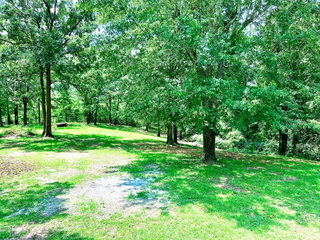 242 McAllister Road Abbeville, AL 36310 - Photo 41 of 61