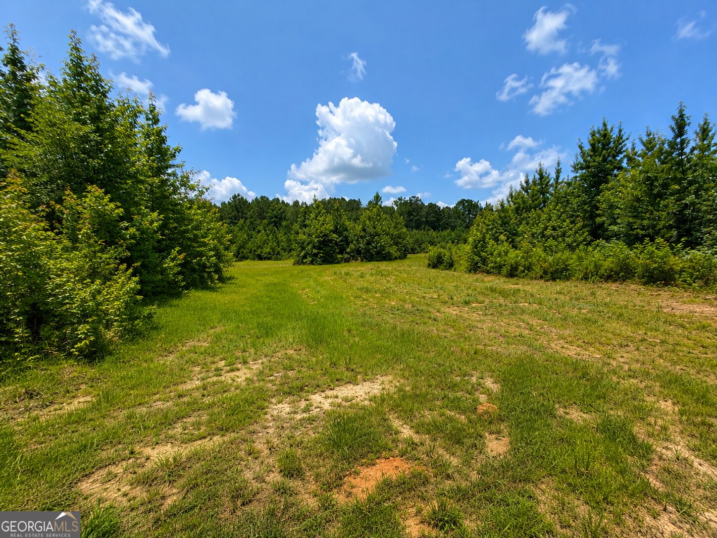 47-acres Cochran Road Madison, GA 30650 - Photo 11 of 22 Gallery Image 11