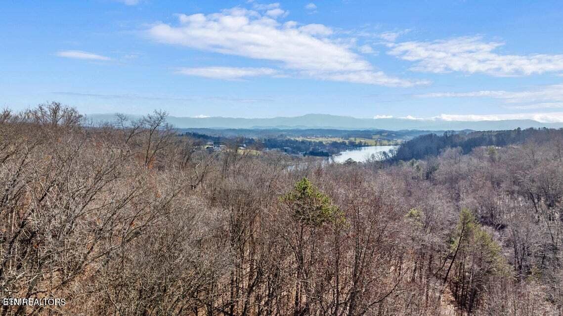 Lot 2 Roberts Road Kodak, TN 37764 - Photo 12 of 55 11