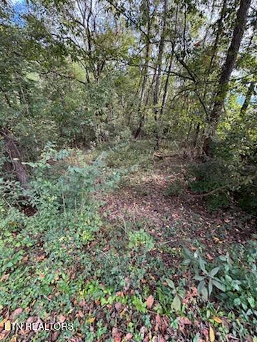 Lot 2 Roberts Road Kodak, TN 37764 - Photo 16 of 55 1000005519