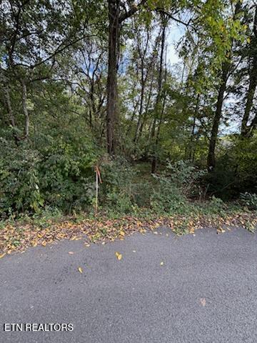 Lot 2 Roberts Road Kodak, TN 37764 - Photo 17 of 55 1000005520