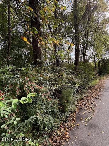 Lot 2 Roberts Road Kodak, TN 37764 - Photo 21 of 55 1000005524