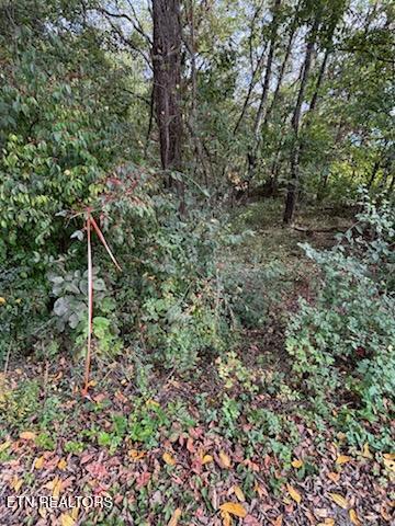 Lot 2 Roberts Road Kodak, TN 37764 - Photo 23 of 55 1000005526