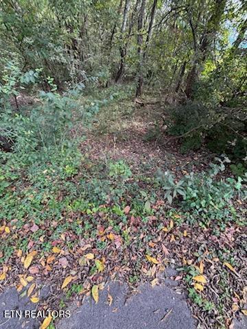 Lot 2 Roberts Road Kodak, TN 37764 - Photo 24 of 55 1000005527