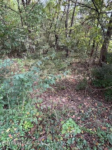 Lot 2 Roberts Road Kodak, TN 37764 - Photo 25 of 55 1000005528