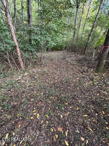 Lot 2 Roberts Road Kodak, TN 37764 - Photo 27 of 55 1000005530