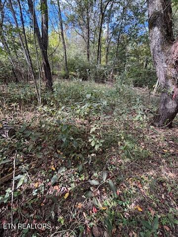 Lot 2 Roberts Road Kodak, TN 37764 - Photo 28 of 55 1000005531