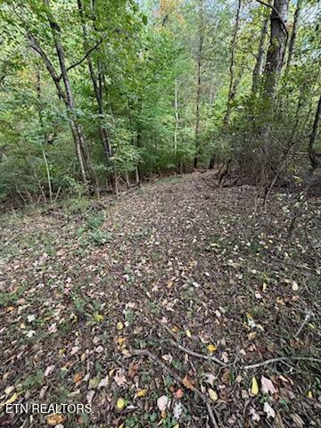 Lot 2 Roberts Road Kodak, TN 37764 - Photo 29 of 55 1000005532