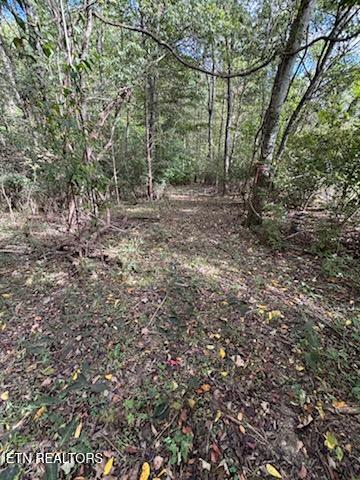 Lot 2 Roberts Road Kodak, TN 37764 - Photo 30 of 55 1000005533