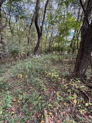 Lot 2 Roberts Road Kodak, TN 37764 - Photo 31 of 55 1000005534