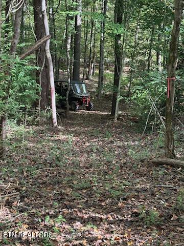 Lot 2 Roberts Road Kodak, TN 37764 - Photo 33 of 55 1000005538