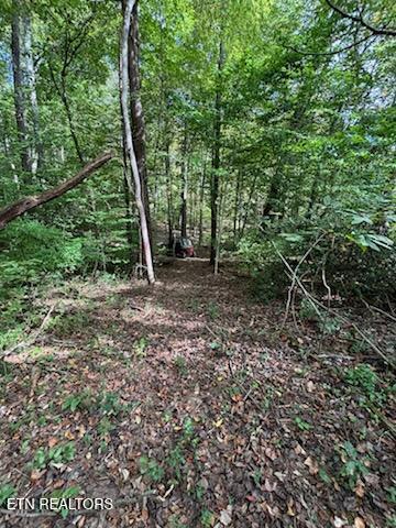 Lot 2 Roberts Road Kodak, TN 37764 - Photo 35 of 55 1000005537