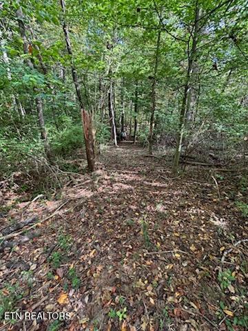 Lot 2 Roberts Road Kodak, TN 37764 - Photo 36 of 55 1000005539