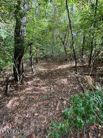 Lot 2 Roberts Road Kodak, TN 37764 - Photo 37 of 55 1000005540