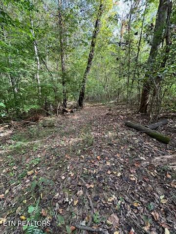 Lot 2 Roberts Road Kodak, TN 37764 - Photo 38 of 55 1000005541