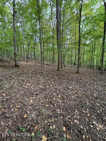 Lot 2 Roberts Road Kodak, TN 37764 - Photo 39 of 55 1000005542