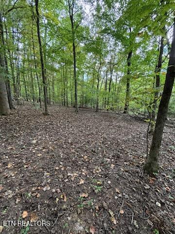 Lot 2 Roberts Road Kodak, TN 37764 - Photo 40 of 55 1000005543