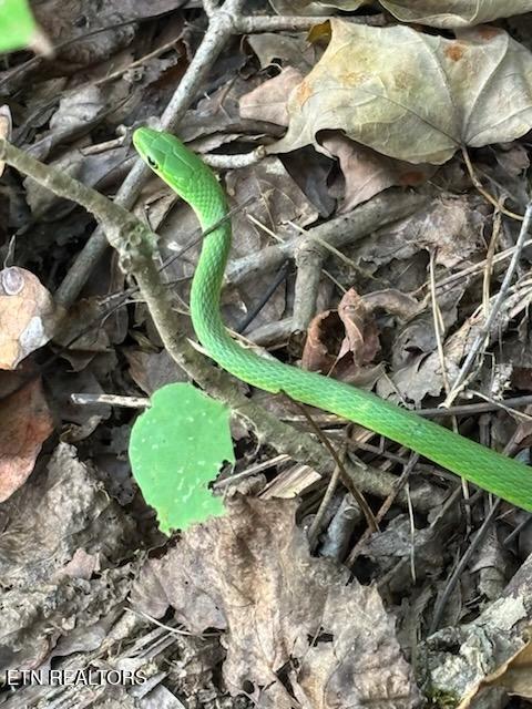 Lot 2 Roberts Road Kodak, TN 37764 - Photo 42 of 55 1000005545