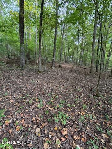 Lot 2 Roberts Road Kodak, TN 37764 - Photo 43 of 55 1000005546