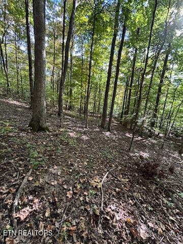 Lot 2 Roberts Road Kodak, TN 37764 - Photo 45 of 55 1000005548