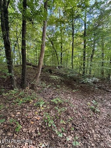 Lot 2 Roberts Road Kodak, TN 37764 - Photo 46 of 55 1000005549