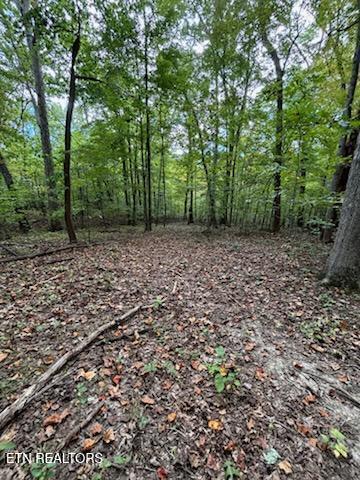 Lot 2 Roberts Road Kodak, TN 37764 - Photo 47 of 55 1000005550