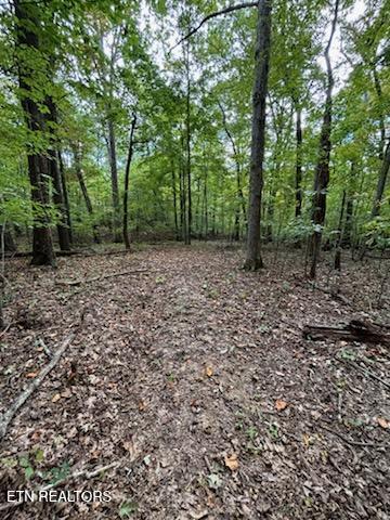Lot 2 Roberts Road Kodak, TN 37764 - Photo 48 of 55 1000005551