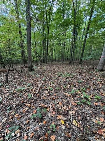 Lot 2 Roberts Road Kodak, TN 37764 - Photo 49 of 55 1000005552