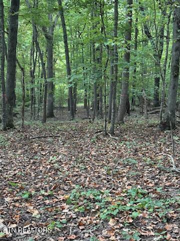 Lot 2 Roberts Road Kodak, TN 37764 - Photo 50 of 55 1000005553