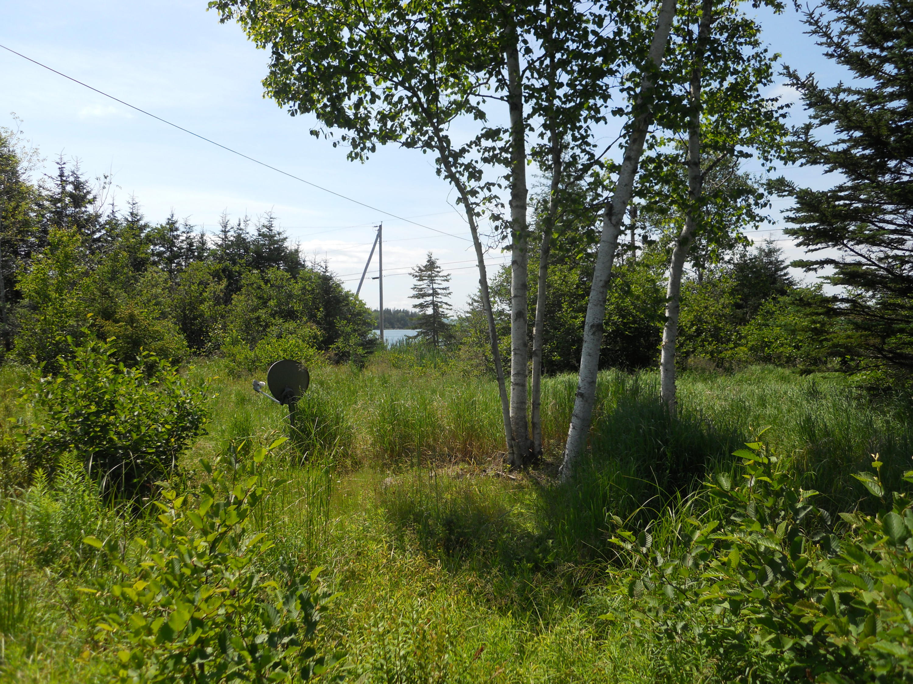1537 Meadow Pond Road Islesboro, ME 04848 - Photo 14 of 38 FieldDSCN0410
