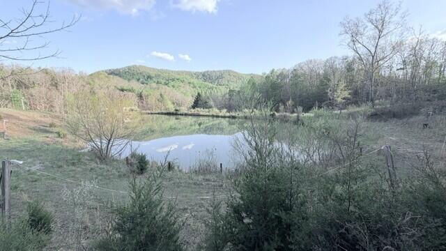 2463 Willow Bend Road Lindside, WV 24951 - Photo 58 of 75 Gallery Image 58