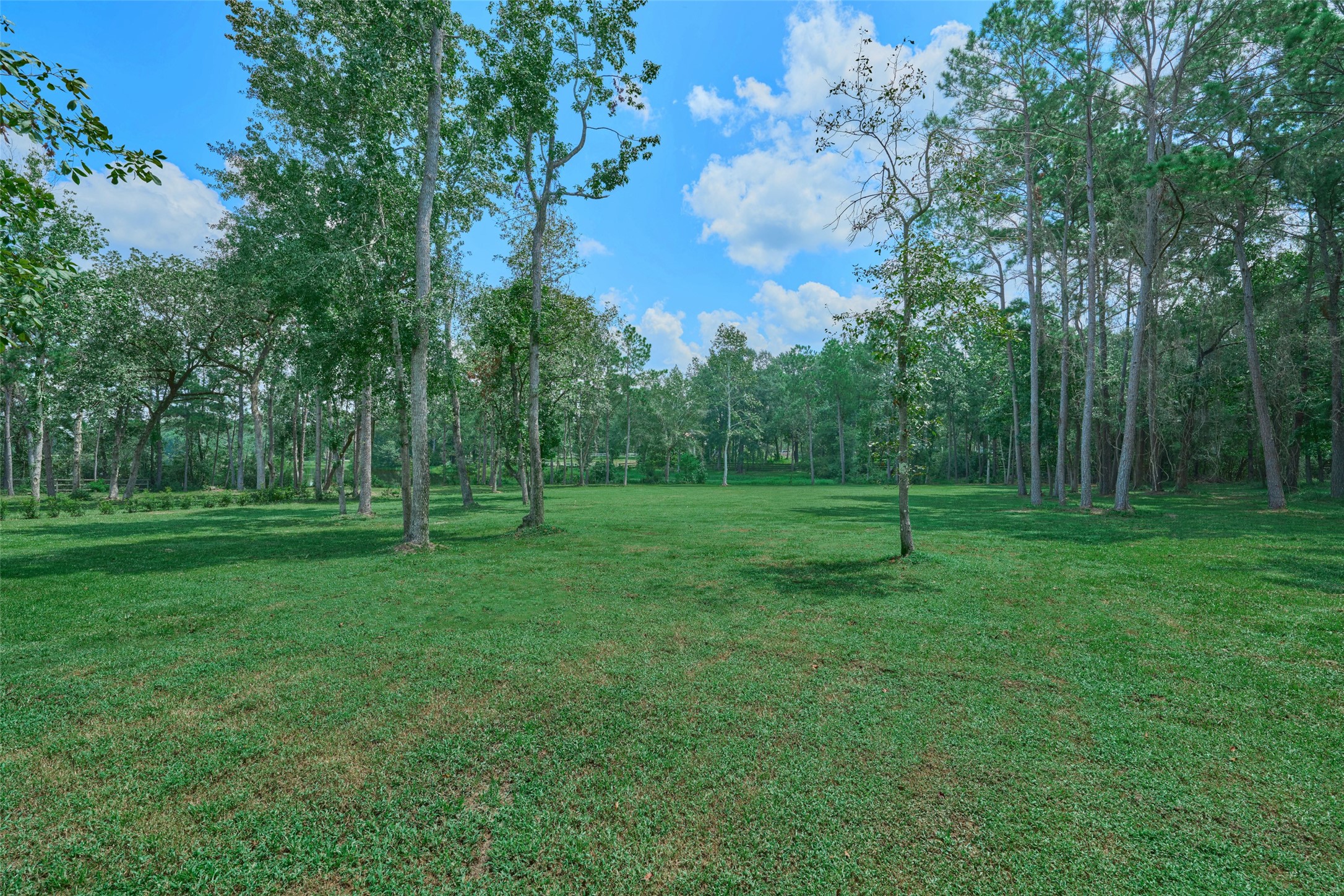 2218 Honea Egypt Road Magnolia, TX 77354 - Photo 12 of 50 Experience the peace of nature with this idyllic, forested setting for your future home.