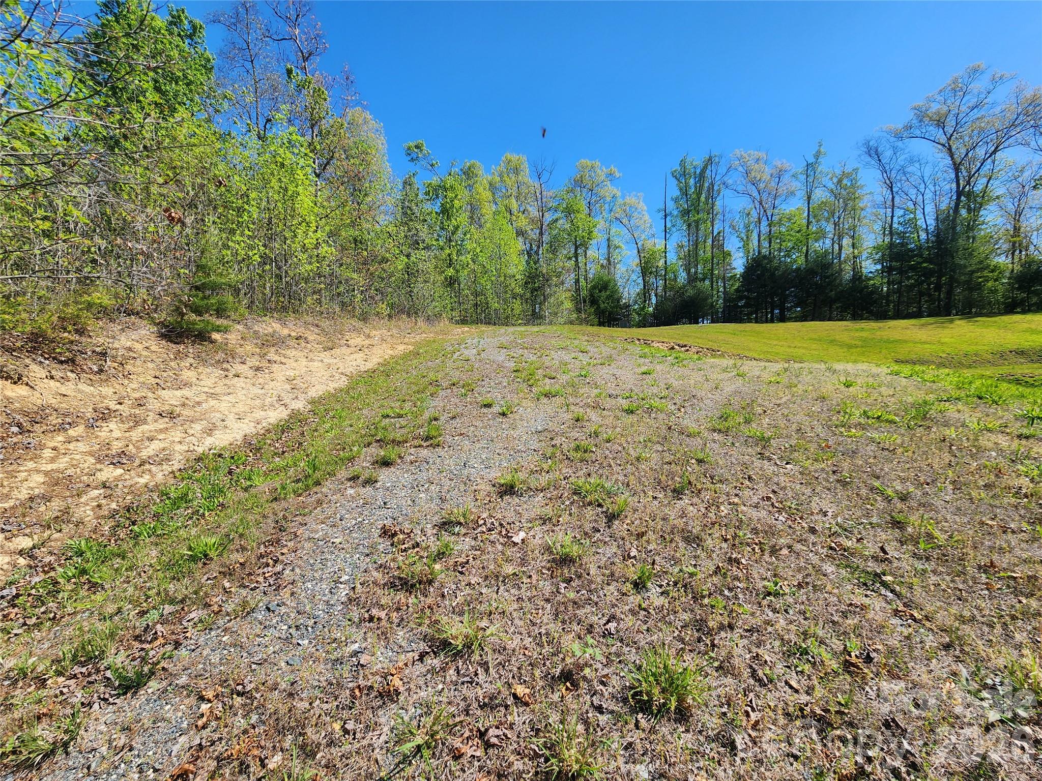 889 Firefly Trail Marshall, NC 28753 - Photo 26 of 35 a view of a yard with trees in the background