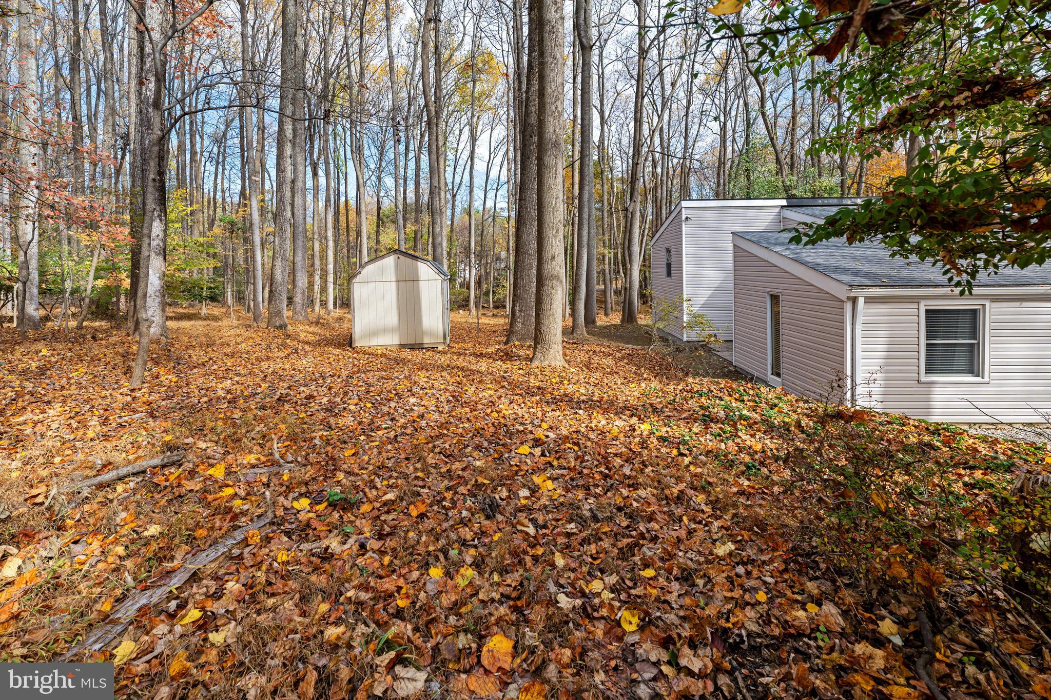 14204 Bennett Road Silver Spring, MD 20906 - Photo 31 of 34