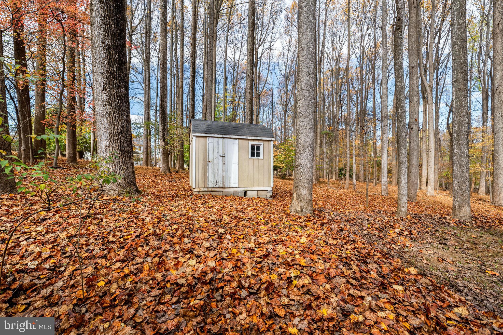 14204 Bennett Road Silver Spring, MD 20906 - Photo 32 of 34