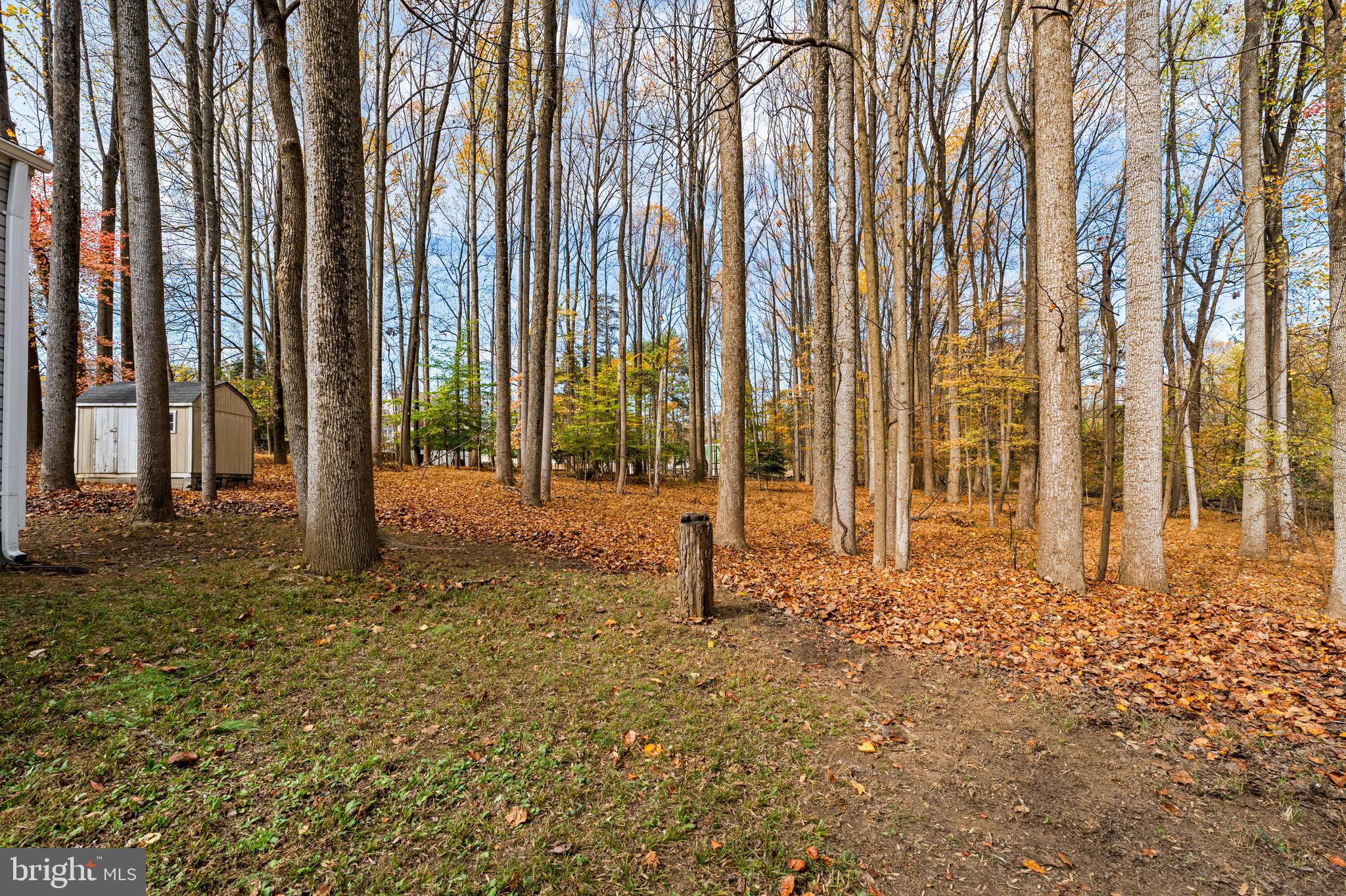 14204 Bennett Road Silver Spring, MD 20906 - Photo 34 of 34