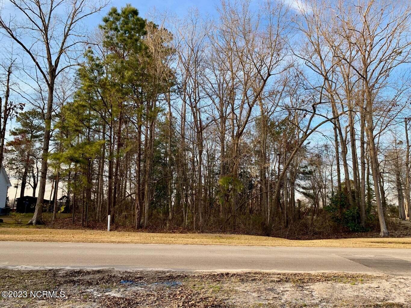 0 Robert Drive Grifton, NC 28530 - Photo 2 of 4 robert 2