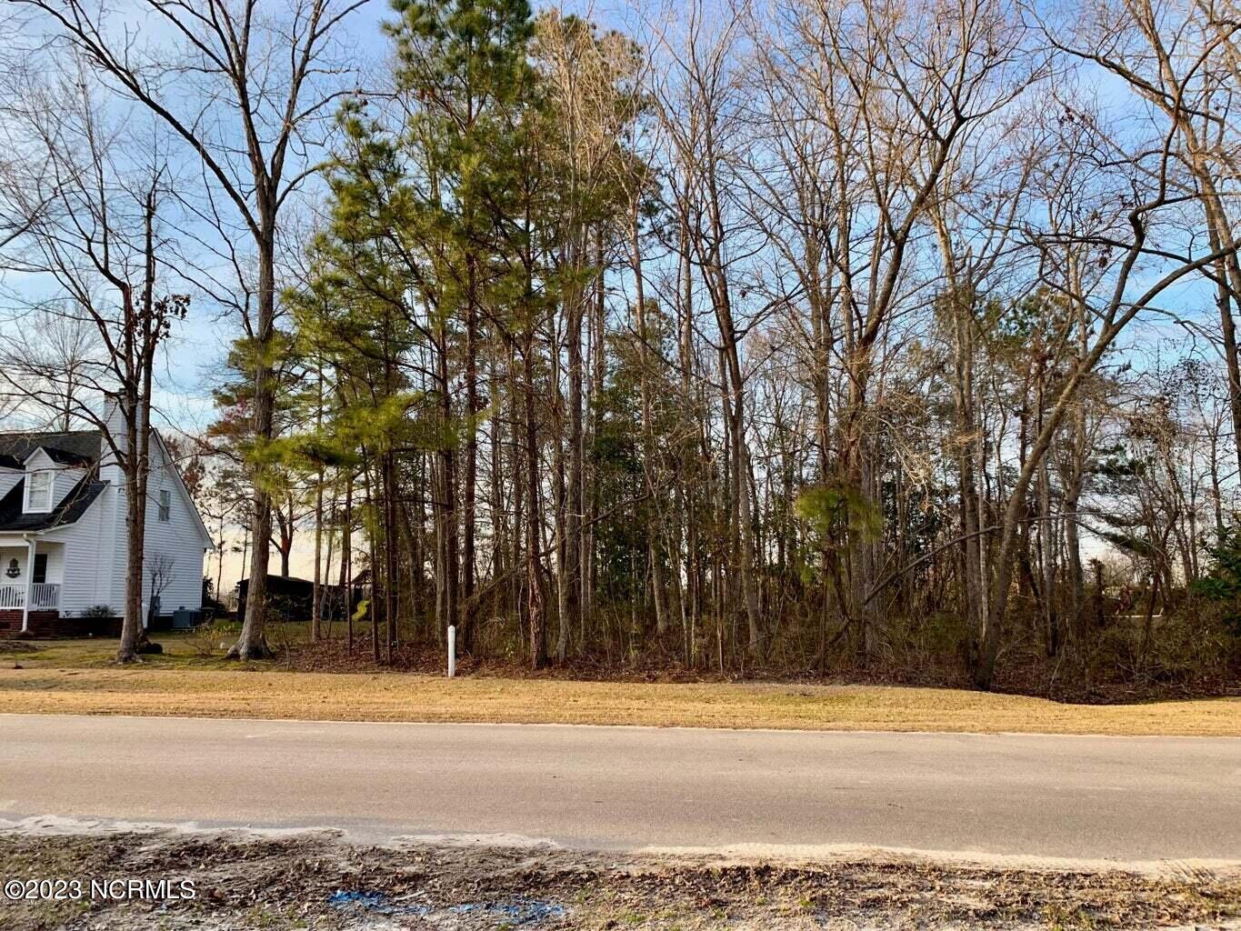 0 Robert Drive Grifton, NC 28530 - Photo 3 of 4 robert 3