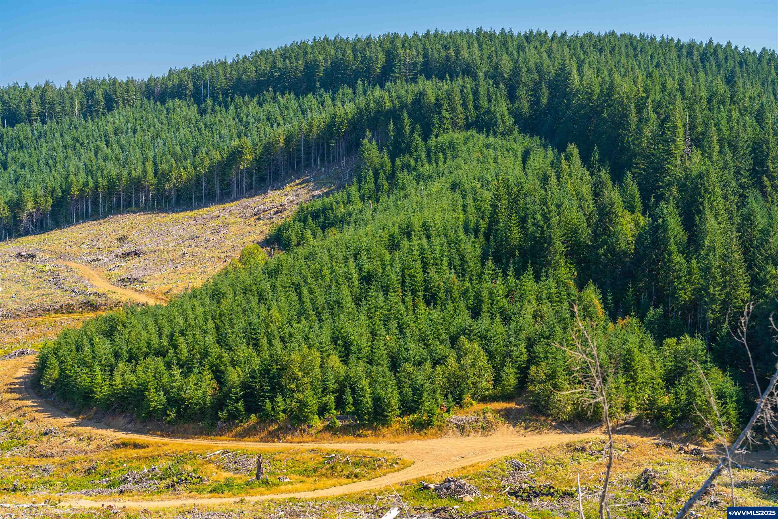 0 Bald Mountain Access Road Willamina, OR 97396 - Photo 30 of 30