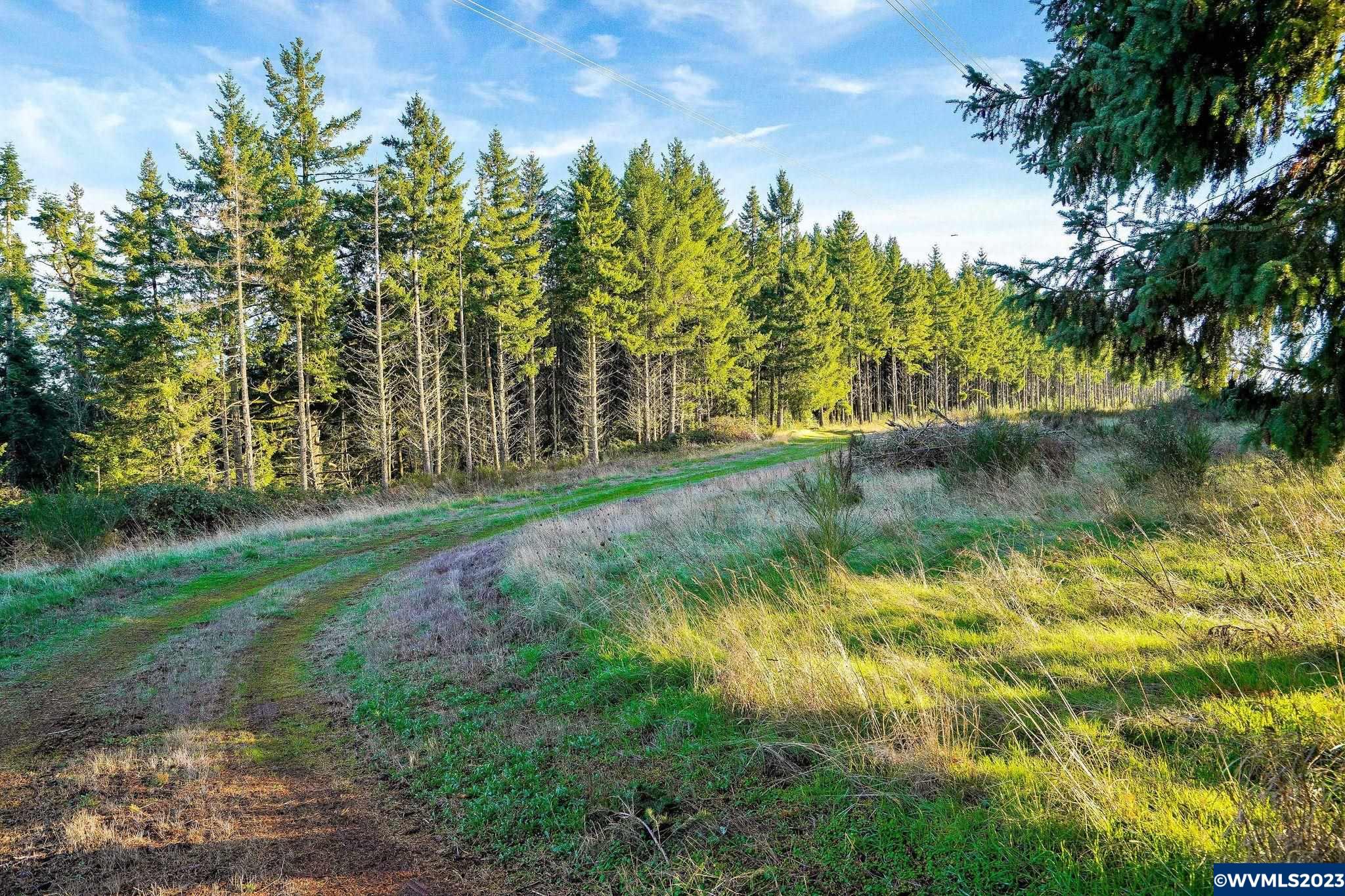 4616 Forest Ridge Road Northeast Silverton, OR 97381 - Photo 30 of 32