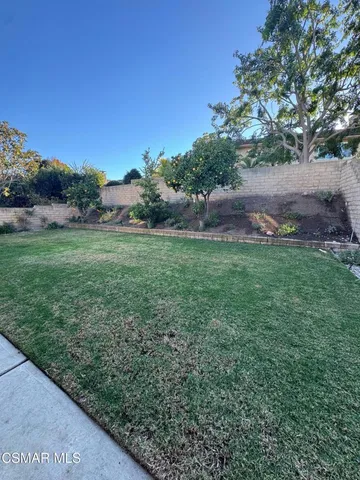 a view of a field of grass and trees